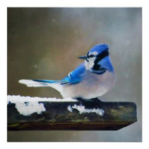 Blue Jay and his Purple Flower - Bird Art - Posters and Art Prints