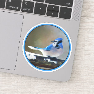 Blue Jay Painting - Original Bird Art Sticker