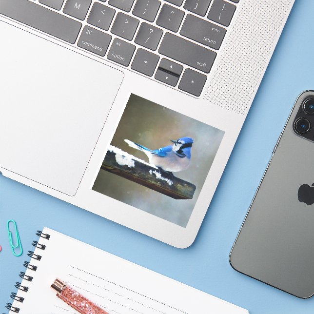 Blue Jay Painting - Original Bird Art Sticker (Laptop w/ iPhone)