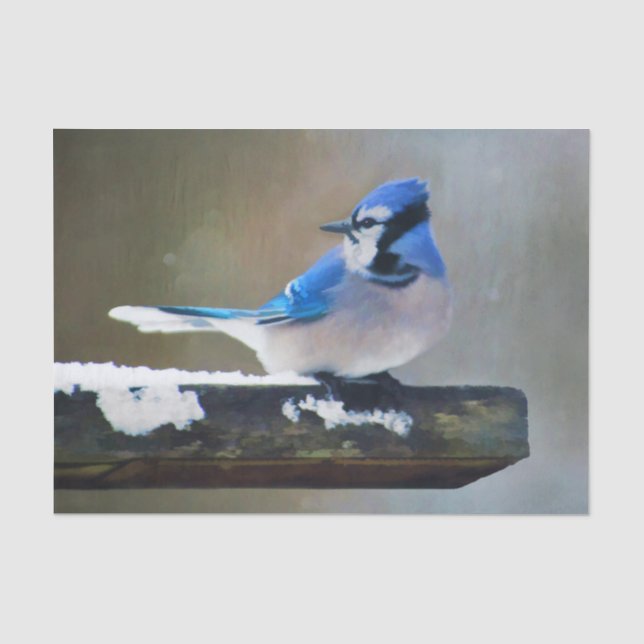 Blue Jay Painting - Original Bird Art Tissue Paper (Front)