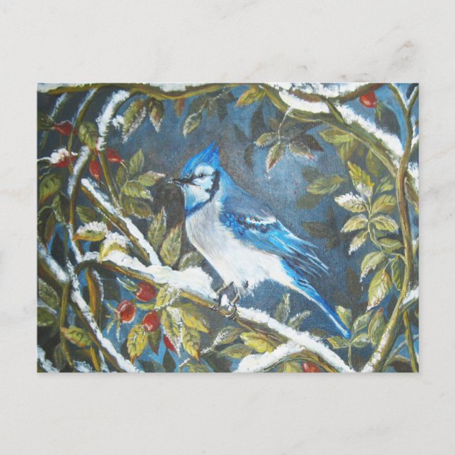 Blue jay painting postcard (Front)