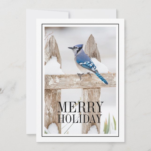 Blue Jay Perched on Snowy Fence Holiday Card (Front)