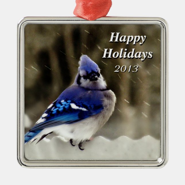 Blue Jay Photo Metal Ornament (Front)