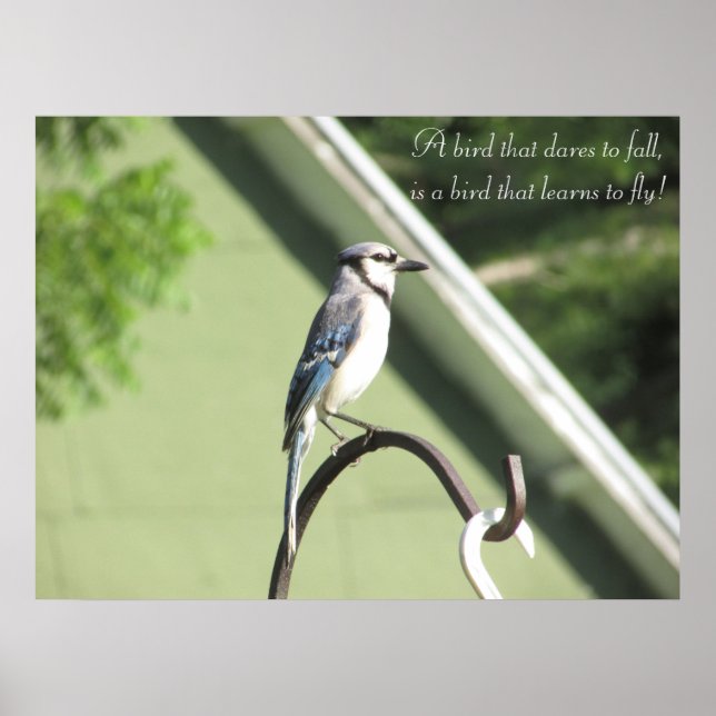 Blue Jay Photograph Inspirational Quote Poster (Front)
