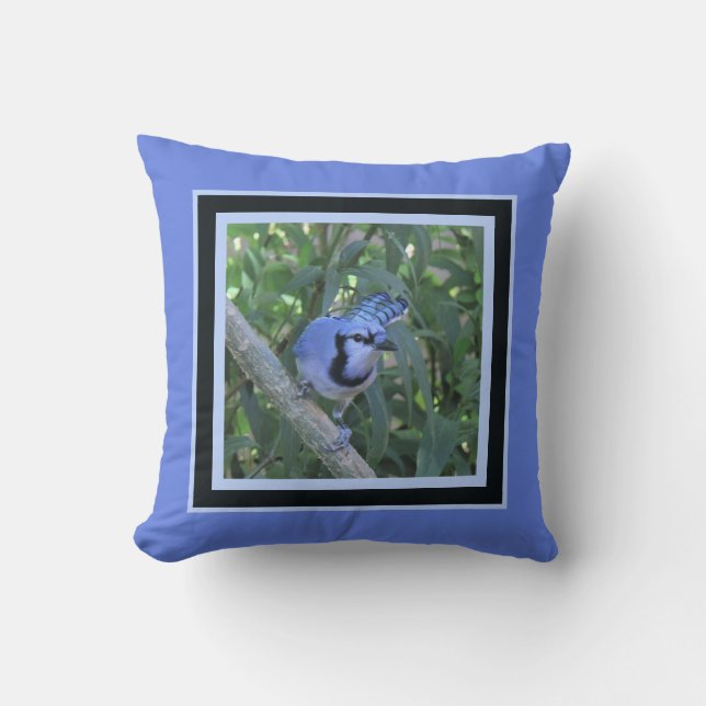 Blue Jay pillow, framed in dark & light blues Throw Pillow (Front)