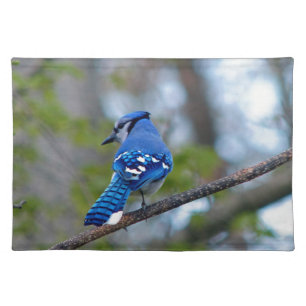 Blue Jay Placemat