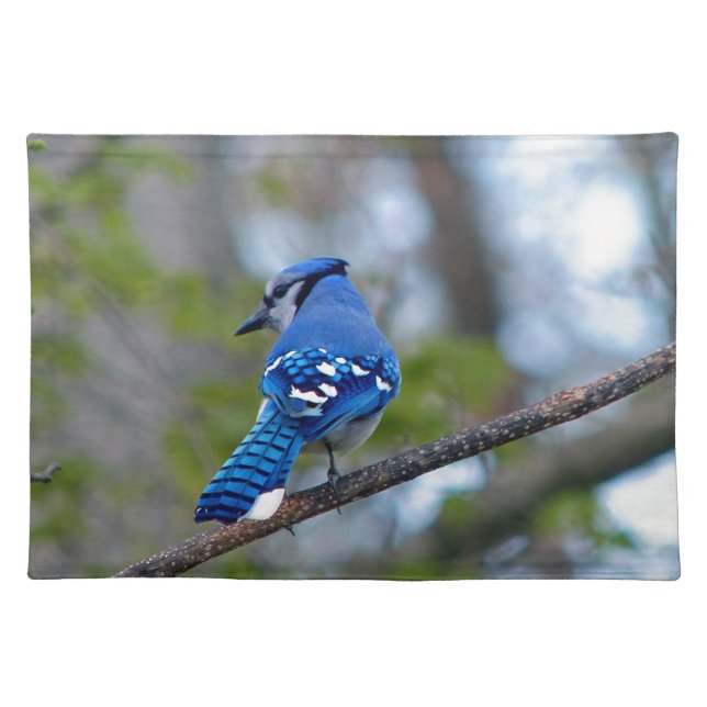 Blue Jay Placemat (Front)