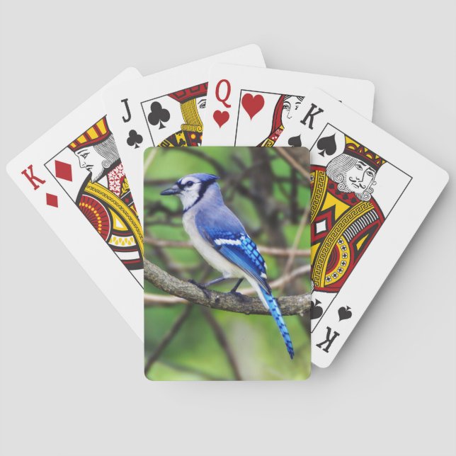 Blue Jay Playing Cards (Back)