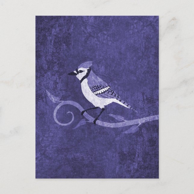 Blue Jay Postcard (Front)