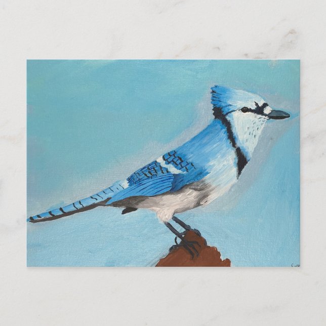 Blue Jay postcard (Front)