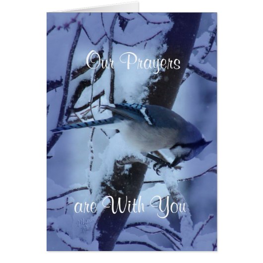 Blue Jay Prayers 7132- customize any occasion Cards (Front)
