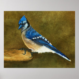 Blue Jay Feather Art Wall Decor Zazzle