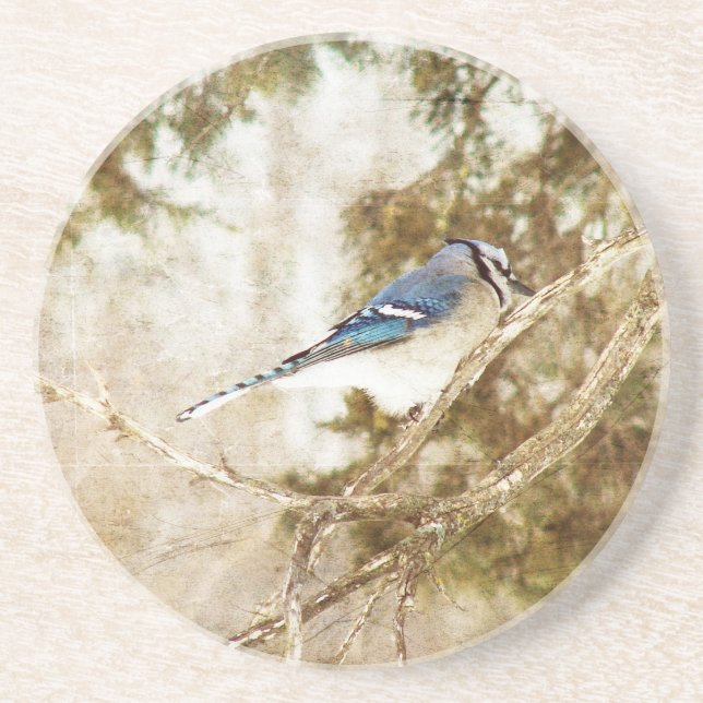 Blue Jay Sandstone Coaster (Front)