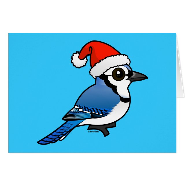 Blue Jay, Accessories, Blue Jay Winter Hat And Stickers