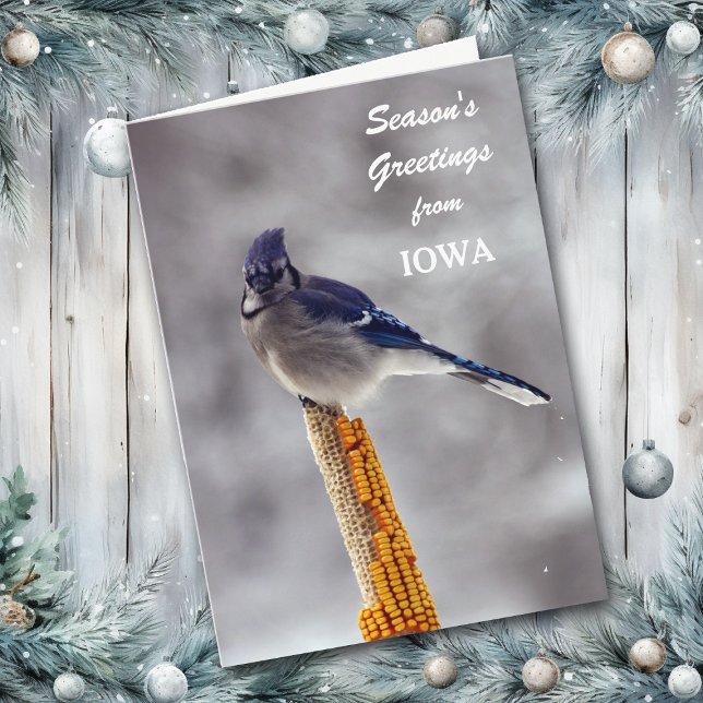 Blue Jay Season's Greetings from Iowa Holiday Card (Creator Uploaded)