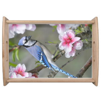 Blue Jay Serving Tray