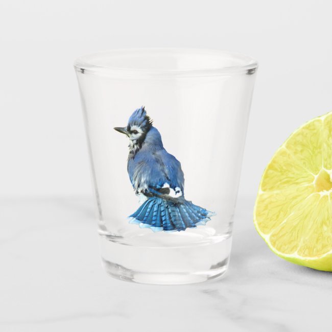 Blue Jay Shot Glass