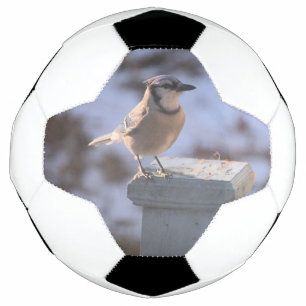 Blue Jay Soccer Ball