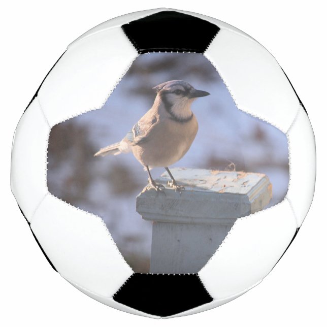 Blue Jay Soccer Ball (Front)