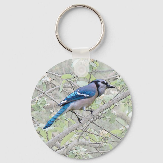 Blue Jay Songbird Keychain (Front)
