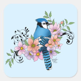 Blue Jay Sticker Decal, Bird Art Vinyl Laptop Cute Waterbottle Tumbler –  Starcove Fashion