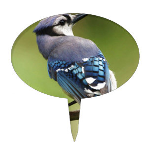 Blue Jay thinking of you friend family mom dad Cake Topper