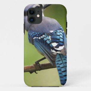 Blue Jay thinking of you friend family mom dad iPhone 11 Case