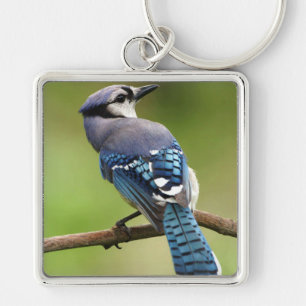 Blue Jay thinking of you friend family mom dad Keychain