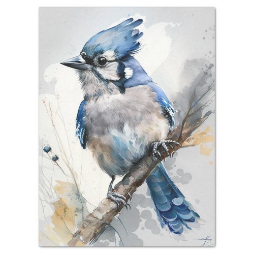 Blue Jay Tissue Paper