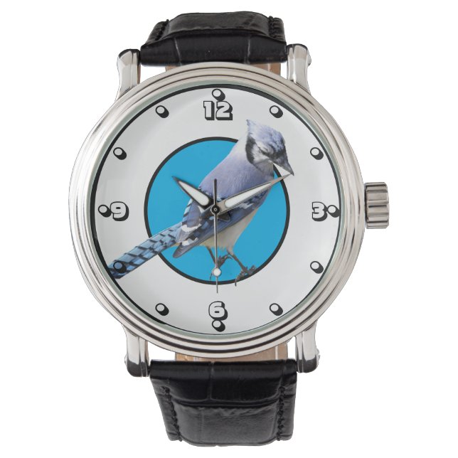 Blue Jay Watch (Front)