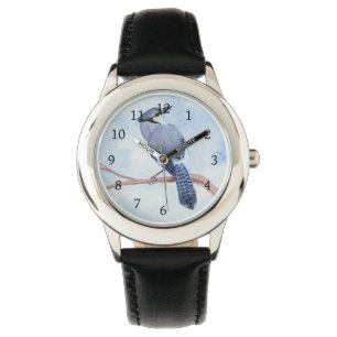 Blue Jay Watch