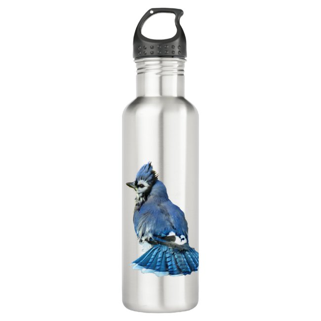 Blue Jay Water Bottle