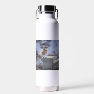 Blue Jay Water Bottle