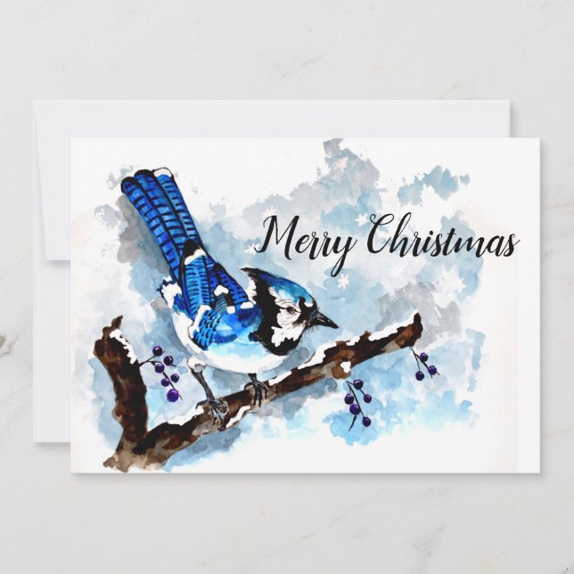 Blue Jay Winter Holiday Card (Front)