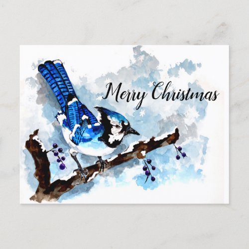 Blue Jay Winter Holiday Card