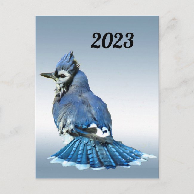 Blue Jay with 2023 Calendar on Back Postcard