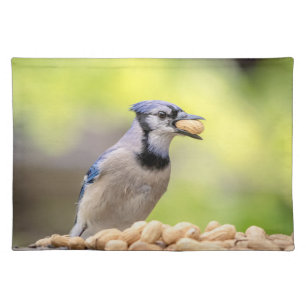 Blue jay with a peanut cloth placemat
