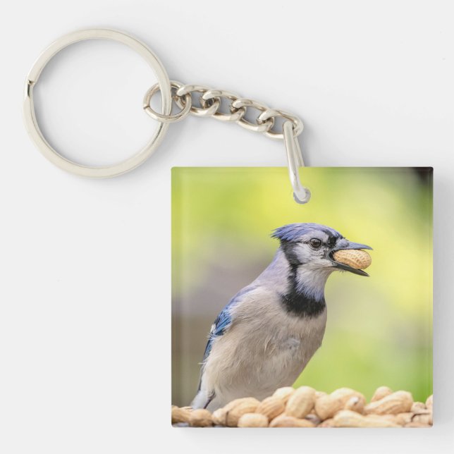 Blue jay with a peanut keychain (Front)