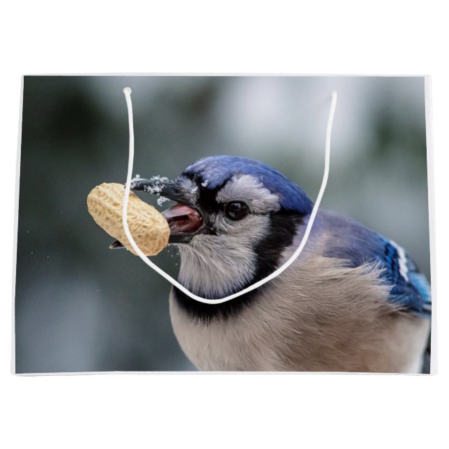 Blue jay with a peanut large gift bag (Front)