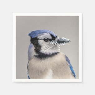 Blue jay with snow on his beak paper napkins