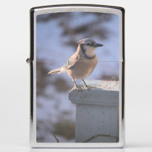 Blue Jay Zippo Lighter