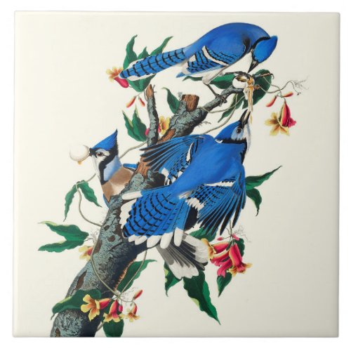 Blue Jays Ceramic Tile