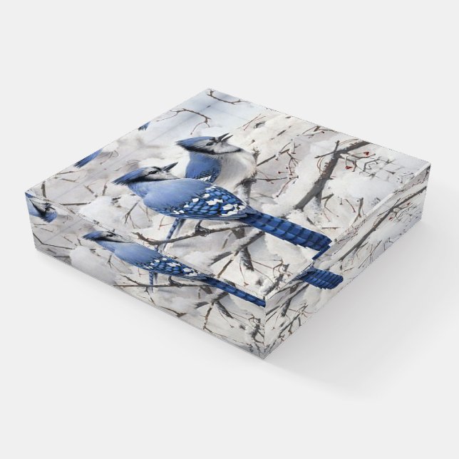 Blue Jays in a Snow Filled Tree Paperweight (Angled)