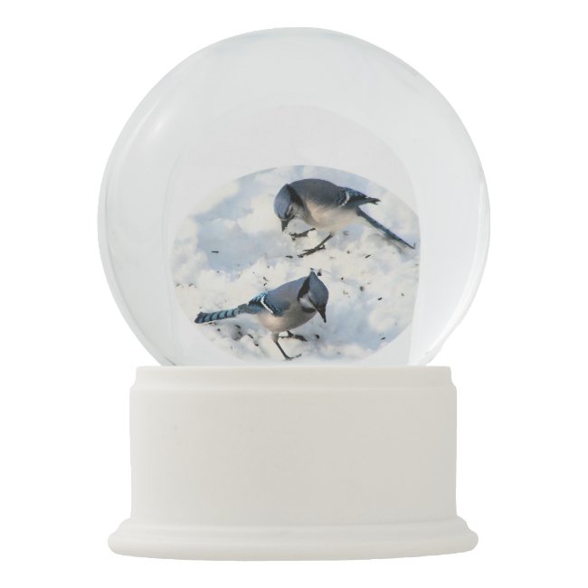 Blue Jays in Winter Snow Globe