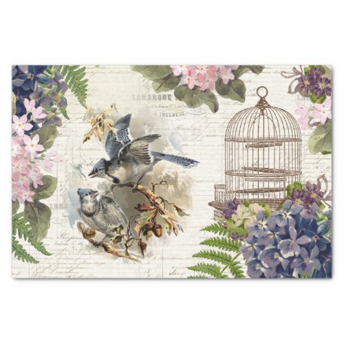 Blue Jays Vintage Birdcage Floral Tissue Paper