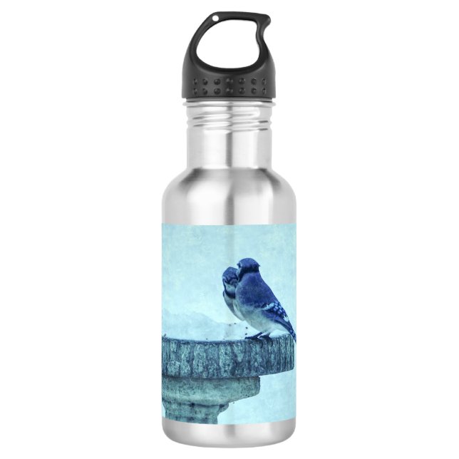 Blue Jays Winter Feeding Painterly Stainless Steel Water Bottle (Front)