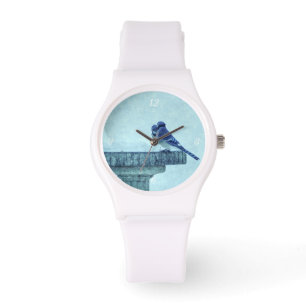 Blue Jays Winter Feeding Painterly Watch