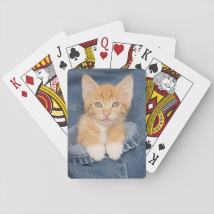 Blue Jean Baby Orange Kitten Playing Cards