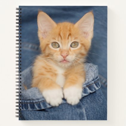 Blue Jeans Baby Kitten Notebook