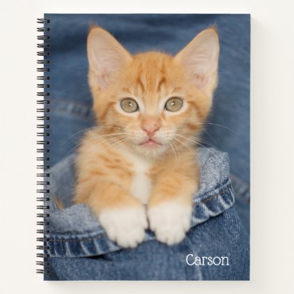 Blue Jeans Baby Kitten Notebook